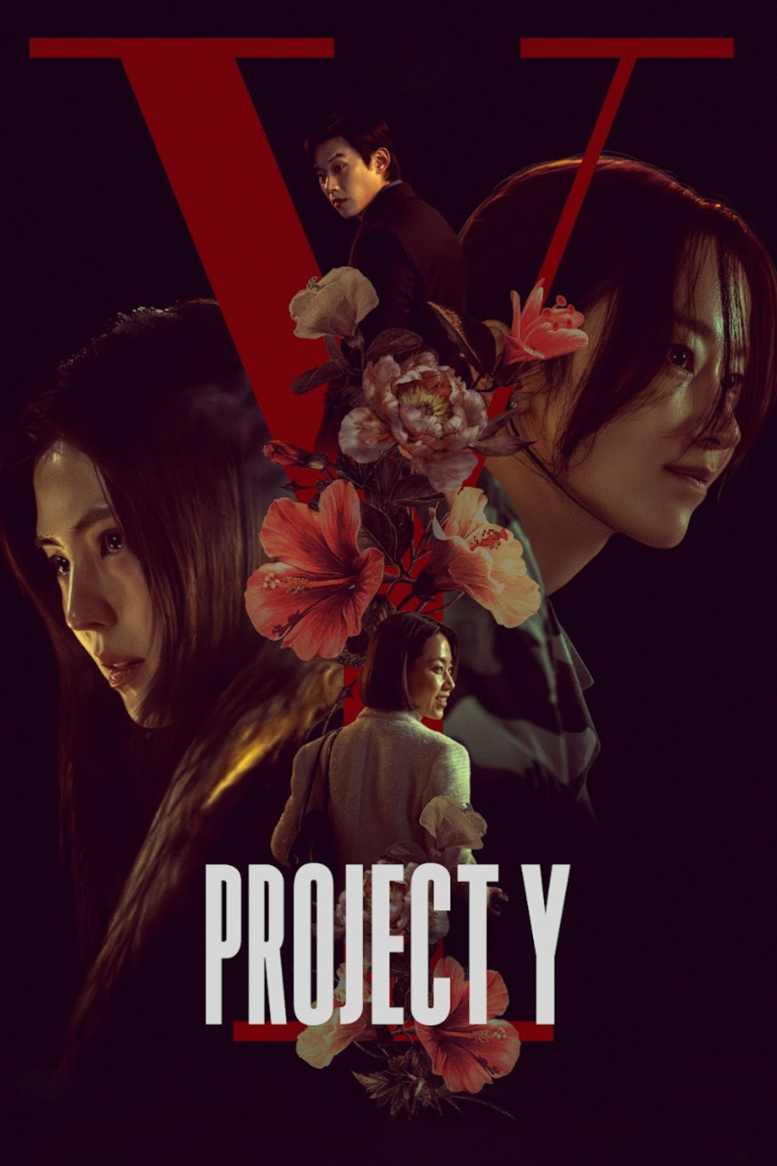 فيلم Project Y 2026 مترجم